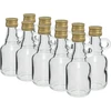 40 ml Gallonenflasche mit Schraubverschluss - 10 Stück  - 1 ['Gallonik', ' Gallonikflasche', ' Likörflasche', ' Likörflasche', ' Likörflasche Brustplatte']
