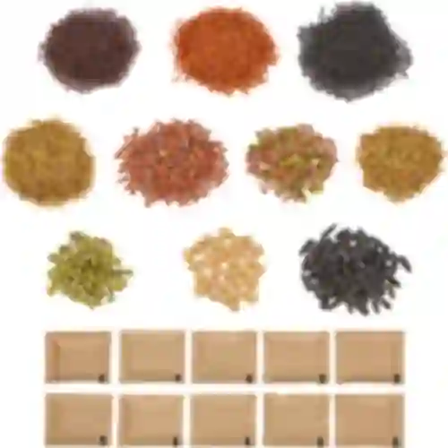 Set von Samen für Sprossen - 10 Packungen