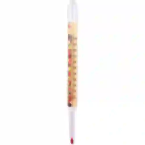 Thermometer für Eingemachtes (0°C bis +100°C) 22cm