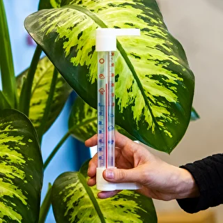 Außenthermometer mit transparenter Skala (-70 °C bis +50 °C) 23 cm, Mix – photo 3