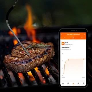 Küchenthermometer mit Bluetooth, 2 Sonden – photo 13