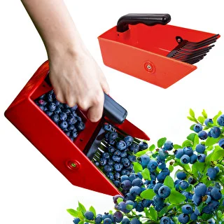 Beerenpflücker für kleine Früchte, mit Metallzinken – photo 6