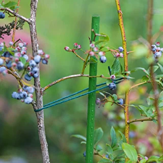 Gartenstäbe Bioogród – beschichteter Stahl, 0,9 m, Ø 8 mm, 10 Stück – photo 5