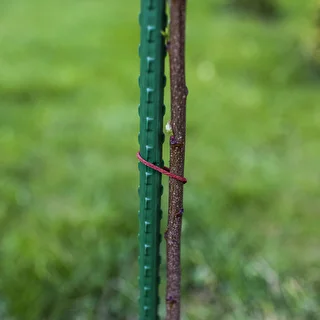 Gartenstäbe Bioogród – beschichteter Stahl, 0,9 m, Ø 8 mm, 10 Stück – photo 6