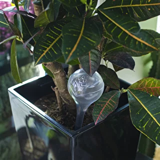 Bewässerungskugeln für Pflanzen, transparent, 400 ml, 2 Stück – photo 10