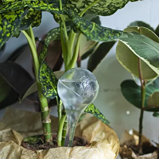 Bewässerungskugeln für Pflanzen, transparent, 400 ml, 2 Stück – photo 11