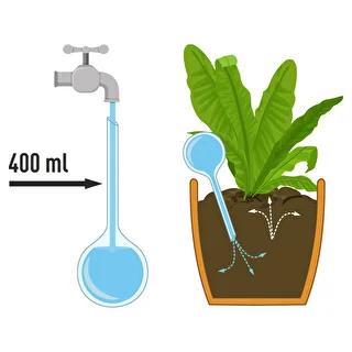 Bewässerungskugeln für Pflanzen, grün transparent, 400 ml, 2 Stück – photo 3