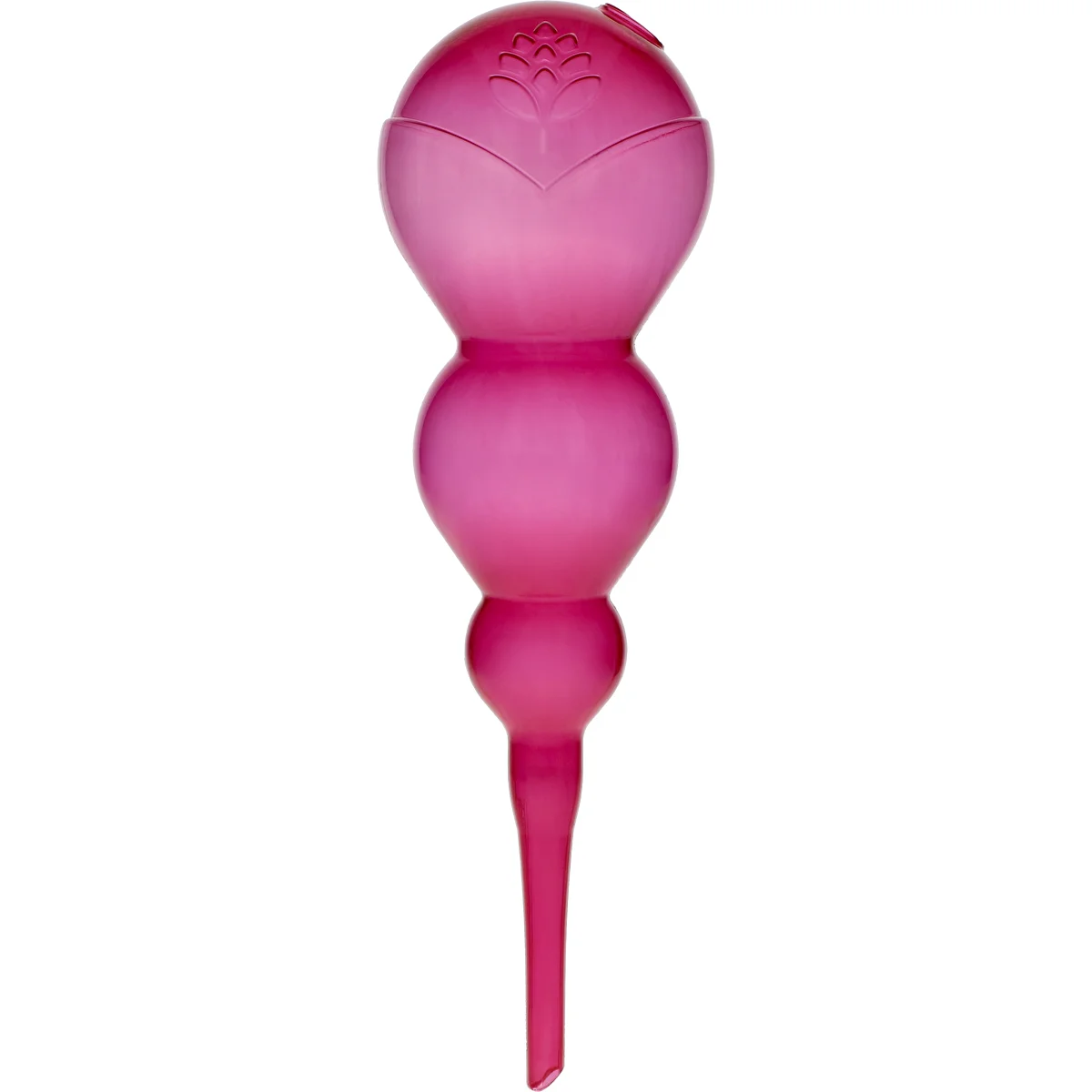 Bewässerungskugel, dreikammerig (dreifach), transparent rosa, 600 ml