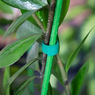 Garten-Klettband, grün, 15 mm x 5 m – photo 4