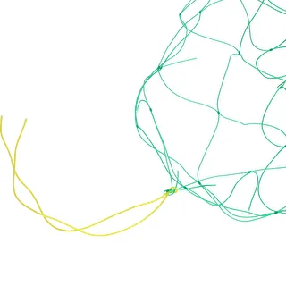 Netz für Kletterpflanzen, 1,8 x 2,7 m – photo 3