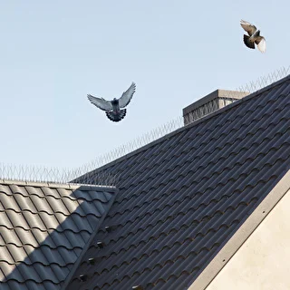 Vogelabwehr-Spikes auf Metallleiste, 10 Stück – photo 11