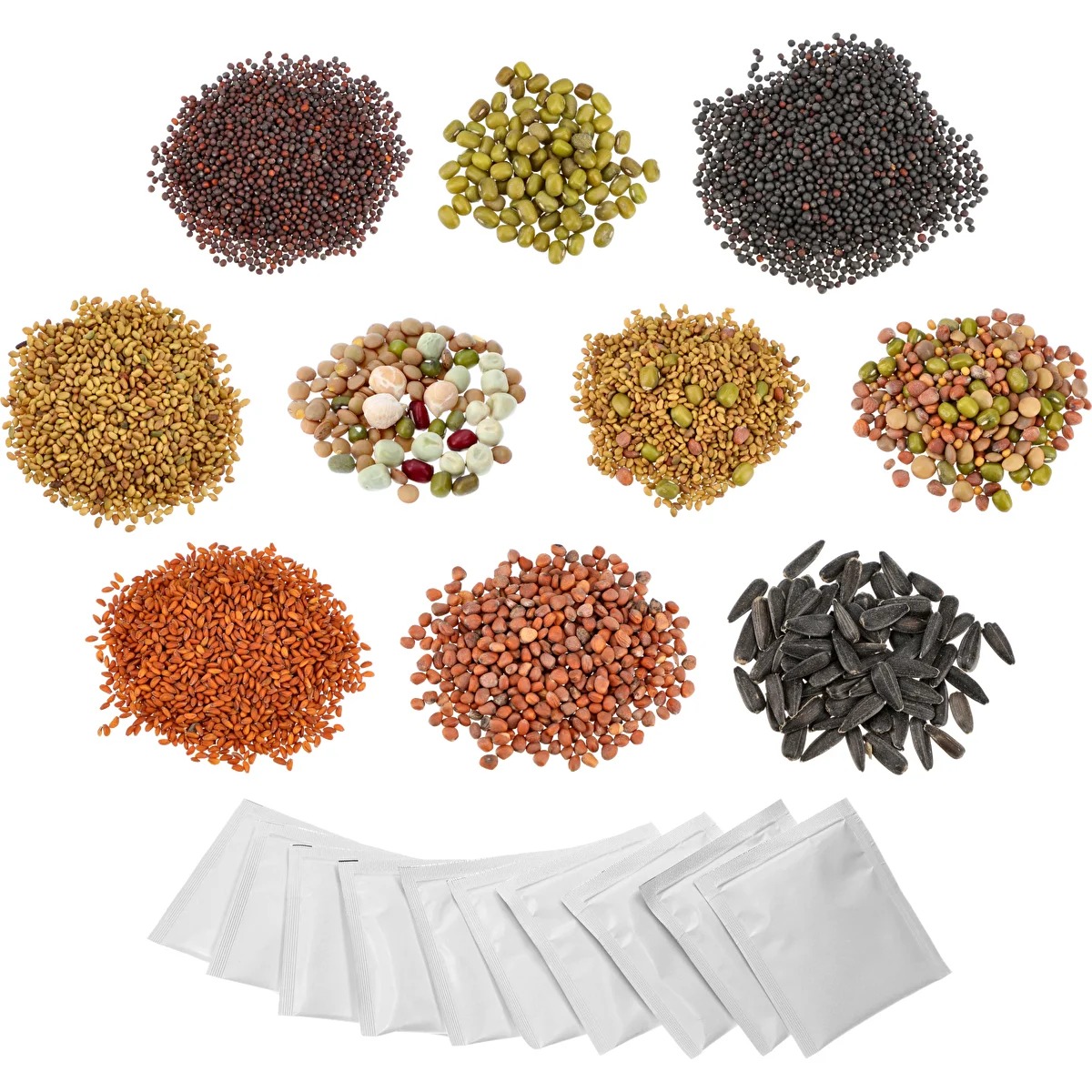 Keimsaat-Set - 10 Packungen
