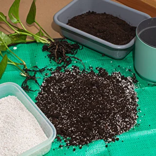 Perlit für Zimmerpflanzen und Gartenbau, 2 L – photo 7