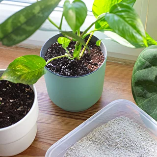 Perlit für Zimmerpflanzen und Gartenbau, 2 L – photo 8