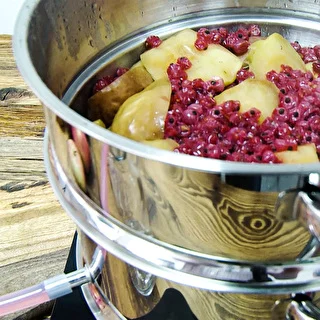 Edelstahl-Dampfentsafter mit Dampfgarer, 5 L – photo 17