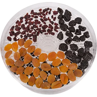 Dörrautomat für Pilze, Obst, Gemüse und Kräuter 125 W – photo 4
