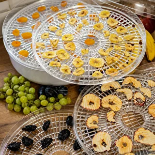 Dörrautomat für Pilze, Obst, Gemüse und Kräuter 125 W – photo 11