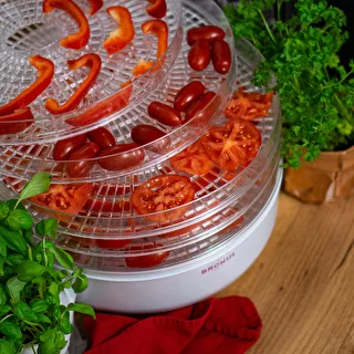 Dörrautomat für Pilze, Obst, Gemüse und Kräuter 125 W – photo 13
