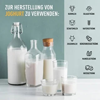 Joghurtbereiter mit Thermostat, 9 Gläser, 1,6 l – photo 15