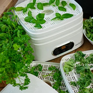 Dörrautomat für Pilze, Obst, Gemüse und Kräuter mit Temperaturregelung, 240 W, weiß – photo 23