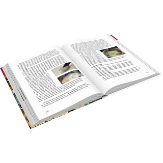 Buch "Szynkowar – Meister der kulinarischen Möglichkeiten. Rezepte" (Buch in polnischer Sprache) – photo 3
