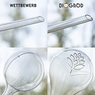 Bewässerungskugeln für Pflanzen, transparent, 400 ml, 2 Stück – photo 14