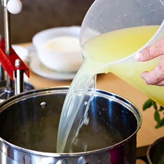 Bakterienkulturen für Quark – photo 3
