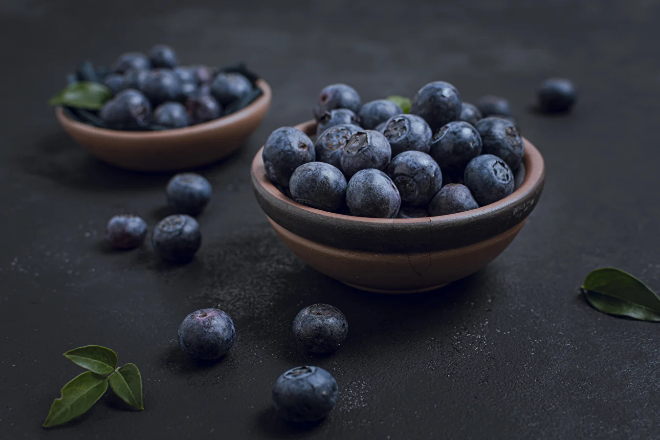 Heidelbeeren im eigenen Saft