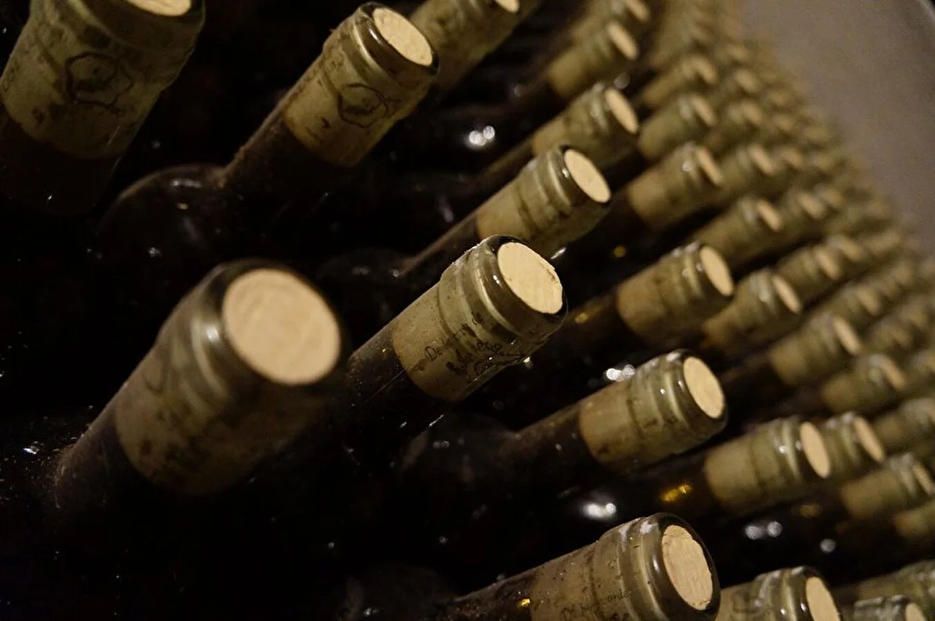 Wein richtig verkorken – so geht’s
