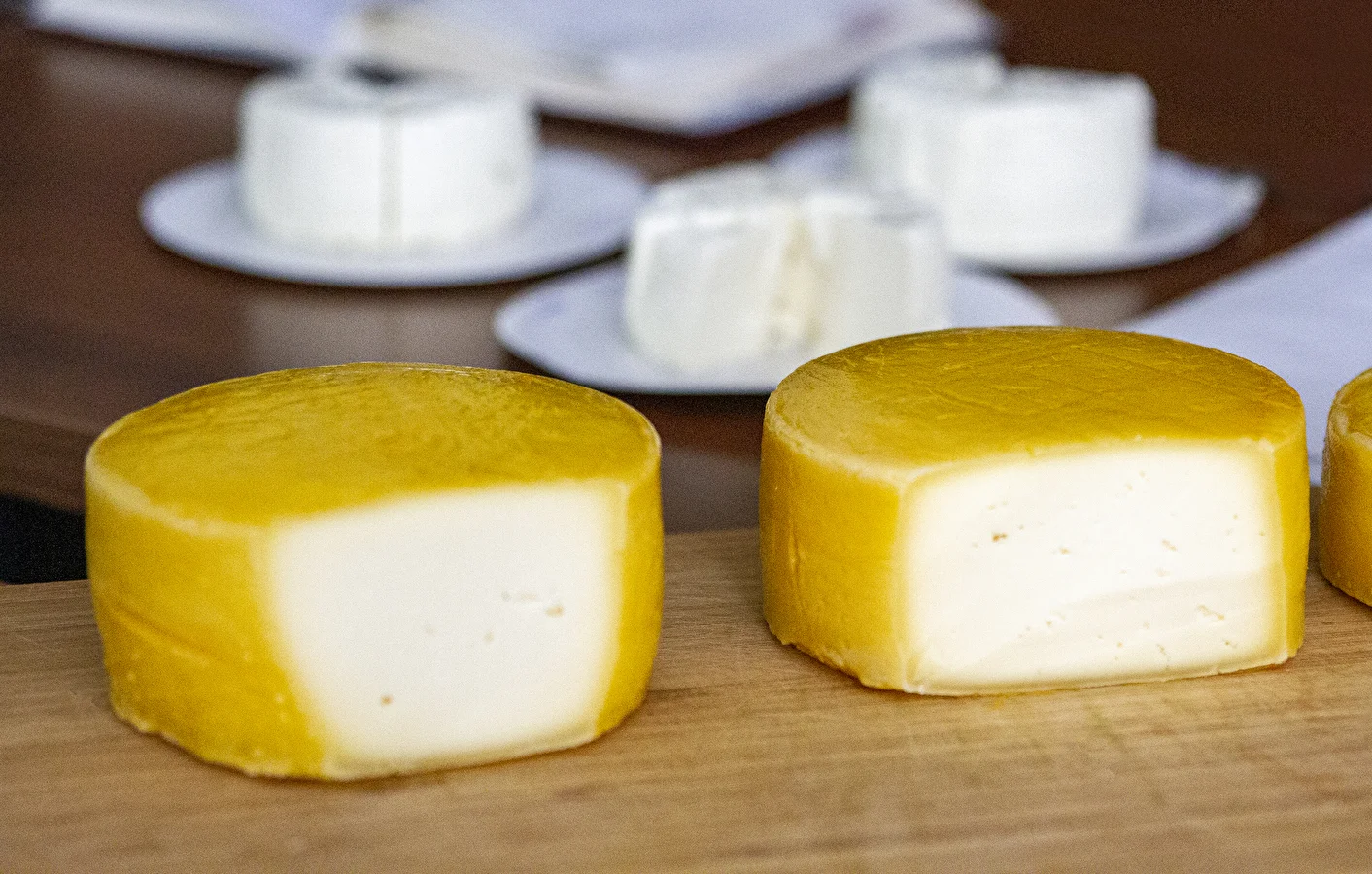 Hausgemachter Gouda (Schnittkäse)