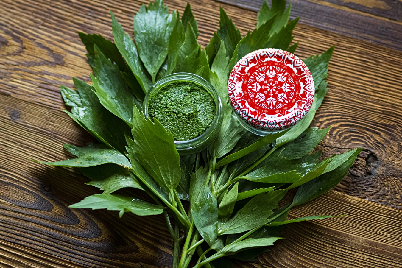 Liebstöckel-Paste – hausgemachte MAGGI-Würze