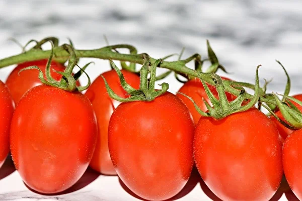 Tomatenpüree