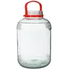 10 L Glas mit Kunststoffdeckel  - 1 ['10 L', ' 10L', ' 10 Liter', ' ein 10-Liter-Glas', ' ein Glas mit Kunststoffdeckel']