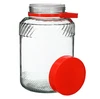 5 L Glas mit Kunststoffdeckel  - 1 ['großes Glas', ' Glas für Einmachprodukte', ' für Milchsäuregärung', ' für Gurken', ' für Kraut', ' Glas für die industrielle Produktion', ' Glas mit Zange', ' Glas Zange', ' Gurkenzange']