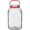 8 l Glas mit Kunststoffdeckel - 2 ['großes Glas', ' Glas für Einmachprodukte', ' für Milchsäuregärung', ' für Gurken', ' für Kraut', ' Glas für die industrielle Produktion', ' Glas mit Zange', ' Glas Zange', ' Gurkenzange']