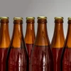 Black-IPA-Brauset, 17 L - 8 ['IPA-Bier', ' dunkles Bier', ' selbstgebrautes Bier', ' wie macht man Bier', ' Brauset', ' Brewkit-Bier', ' Coopers-Bier']