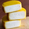 Bakterienkulturen für Gouda-Käse - 4 ['zu Hause bleiben', ' Käsekulturen', ' Käsekulturen', ' Gouda-Käse', ' wie man Gouda-Käse macht', ' glutenfreie Ernährung', ' Bakterien', ' Starterkulturen']