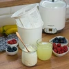Käse-Joghurtmaschine mit Thermostat 1,5 L - 15 ['hausgemachter Joghurt', ' für Joghurt', ' veganer Joghurt', ' griechischer Joghurt', ' Frühstückskäse', ' Joghurtmaschine', ' wie macht man Joghurt']