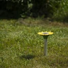 Maulwurfschreck mit Solarbatterie gespeist - 7 ['Sonnenvertreiber', ' für Maulwürfe', ' gegen Maulwürfe', ' Gartenschutz', ' für Spitzmäuse', ' wie man einen Maulwurf loswird', ' Blumenvertreiber']