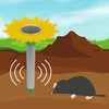 Maulwurfschreck mit Solarbatterie gespeist - 5 ['Sonnenvertreiber', ' für Maulwürfe', ' gegen Maulwürfe', ' Gartenschutz', ' für Spitzmäuse', ' wie man einen Maulwurf loswird', ' Blumenvertreiber']