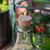 Naturkorken 50/43 mm - 3 ['Korken aus Naturkork', ' Weinkorken', ' Korken für Flasche', ' Stöpsel für Flasche', ' Weinflaschen mit Korken', '']