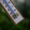 Raumthermometer mit weißer Skala (-30°C bis +50°C) 20cm - 4 ['Innenthermometer', ' Raumthermometer', ' Heimthermometer', ' Thermometer', ' Raumthermometer aus Holz', ' Thermometer mit lesbarer Skala', ' Thermometer mit doppelter Skala']