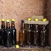 Set von PET-Bierflaschen 1 L im Tragekasten (6 St.) - 8 ['Flaschen', ' Haustier', ' Bier', ' Cidre', ' Sub-Bier', ' Träger', ' für Bier']