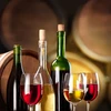 Universelle Weinhefe, vorige Vermehrung, 20 ml - 10 ['flüssige Weinhefe', ' Weinhefe ohne vorige Vermehrung', ' Browin-Hefe', ' Hefe für Weiß- und Rotweine', ' Wein aus Erdbeeren', ' Wein aus Äpfeln', ' Wein aus Rhabarber', ' Wein aus Pflaumen', ' welche Hefe', ' Wein 15%']
