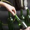Weinflasche 0,75 L Grün – 10 Stück - 10 ['Weinflasche', ' Flasche 750 ml', ' grüne Flasche 0', '75 L', ' Glasflasche für Wein', ' Weinflaschen', ' Glasflaschen', ' Flasche für die Weinbereitung', ' Flaschen für die Weinbereitung']