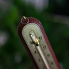 Zimmerthermometer mit goldenefarbener Skala (-10°C bis +50°C) 22cm, mix - 4 ['Innenthermometer', ' Raumthermometer', ' Heimthermometer', ' Thermometer', ' Raumthermometer aus Holz', ' Thermometer mit lesbarer Skala', ' Thermometer silberfarbene Skala', ' Thermometer goldfarbene Skala', ' Thermometer zum Aufhängen', ' traditionelles Thermometer']