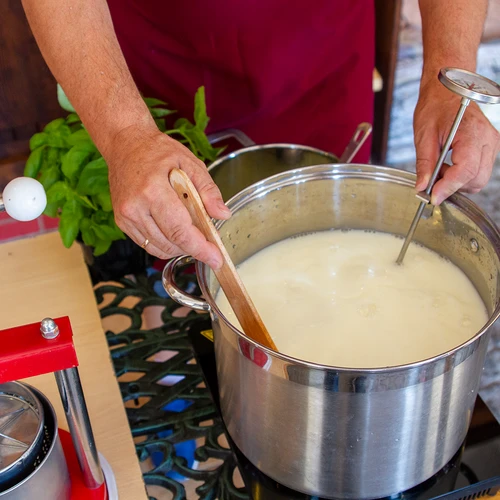 Bakterienkulturen für Quark - 2 ['Bakterienkulturen', ' Käsebakterien', ' selbstgemachter Käse', ' selbstgemachter Quark', ' Sauermilch', ' Käseherstellung', ' Starterkulturen', ' Käsestarter', ' Milchsäuregärung', ' Käsefermentationsmischung']