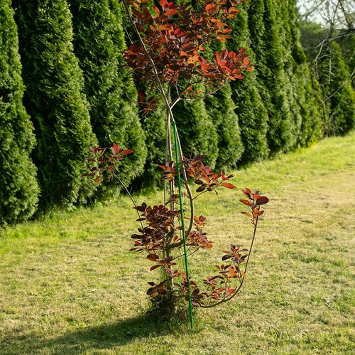 Beschichtete Stahlstange PE 0,8 m x 8 mm - 5 ['Gartenstange', ' Stange für Pflanzen', ' Stütze für Pflanzen', ' Stütze für Rankenpflanzen', ' Stützen für Rankenblumen', ' Metallstützen für Blumen', ' beschichtete Stützen für Blumen', ' beschichtete Metallstützen', ' Pflanzenstütze beschichtet']