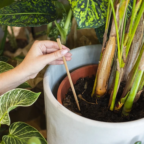 Bewässerungskugel für Pflanzen, mattschwarz mit Keramikfuß, 400 ml - 8 ['Bewässerungskugeln', ' Wasserspender für die Bewässerung von Blumen', ' für das Gießen von Blumen', ' Bewässerung von Blumen', ' Bewässerung von Pflanzen', ' Bewässerer für Blumentöpfe', ' für Topfblumen', ' Bewässerungssystem', ' Bewässerungskugel', ' Wasserspender für Blumentöpfe', ' Kugeln für Pflanzen', ' Wasserspender für Pflanzen', ' Gießen von Pflanzen', ' Bewässerungskugeln schwarz', ' Bewässerungskugeln mit Keramikfuß', ' Keramikfuß', ' Bewässerungskugeln bunt', ' Bewässerungskugeln mit Tonfuß', ' von oben befüllte Bewässerungskugeln', ' von oben befülle Wasserspender', ' Loft-Design']