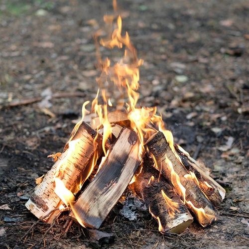 Brenngel für Aufwärmer 1 L - 9 ['Anzünder für den Grill', ' Anzünder für die Räucherkammer']